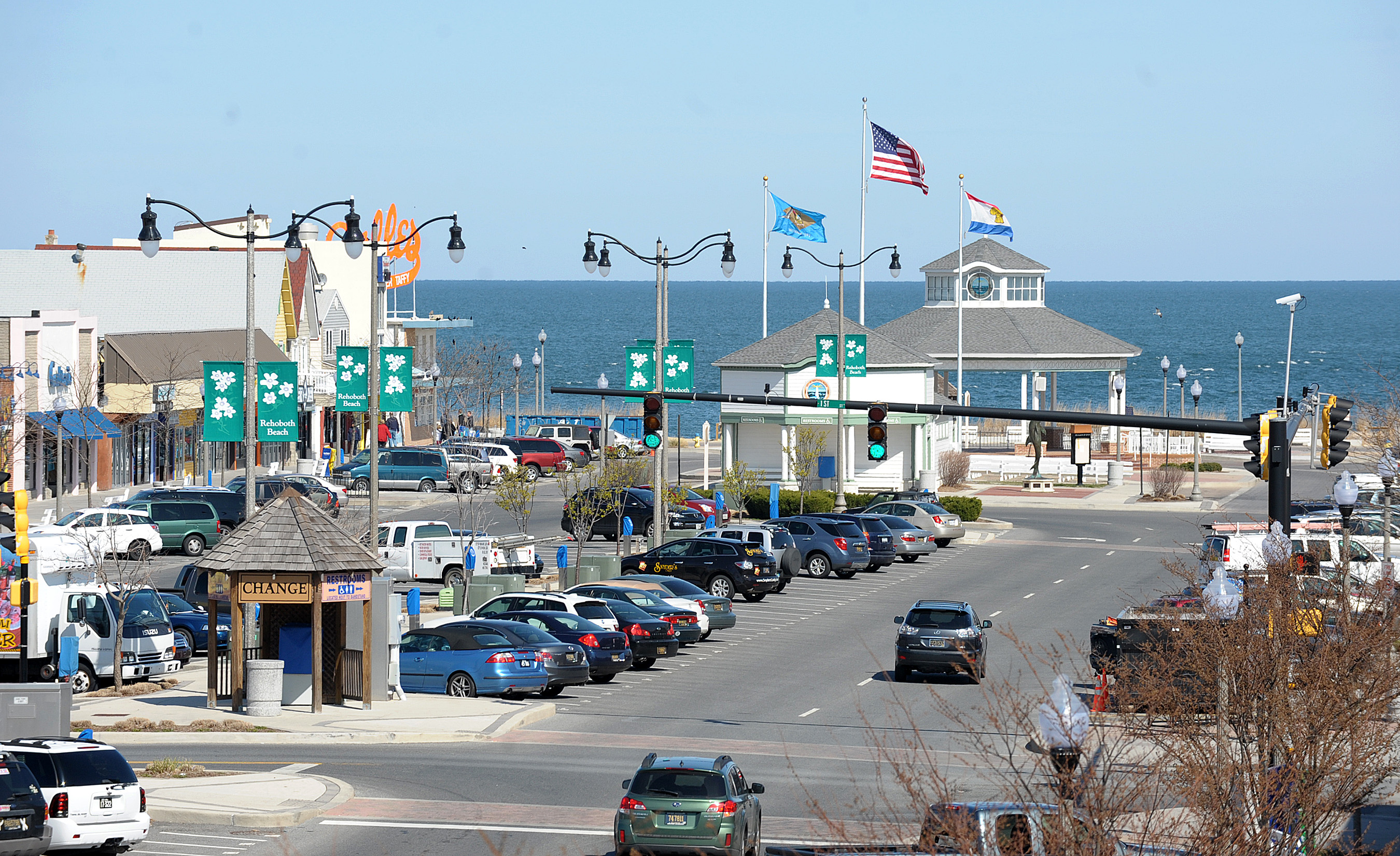 Drowning Rehoboth Beach September 2024 Bird Larina